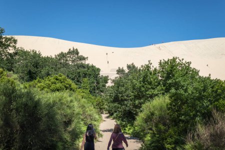 Téléchargez les photos : Forêt avec le sentier d'accès aux Dunes du Pilat et avec quelques touristes en arrière-plan escalade les dunes en France - en image libre de droit