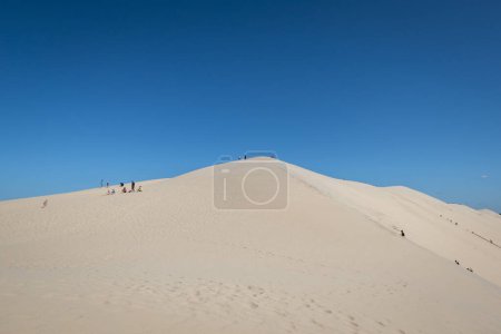 Téléchargez les photos : Quelques touristes au sommet des dunes de Pilat par une chaude journée avec un ciel bleu - en image libre de droit