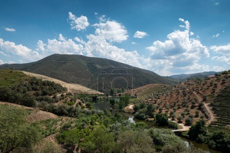 Téléchargez les photos : Entre collines et montagnes, une petite rivière qui se jette dans le fleuve Douro à Coleja, Tras os Montes, Portugal - en image libre de droit