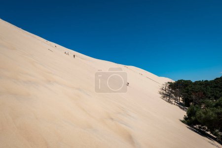 Téléchargez les photos : Touristes escaladant les Dunes du Pilar en France. Une grande élévation sablonneuse - en image libre de droit