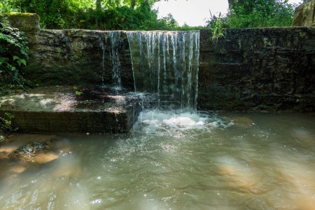 Téléchargez les photos : Petite cascade coulant à travers la forêt en contrebas - en image libre de droit