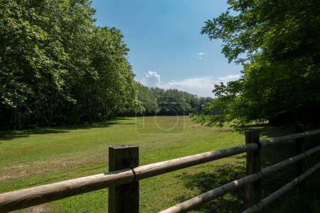 Téléchargez les photos : Clôture en bois au milieu d'un champ avec pâturage pour animaux, entouré d'arbres verts - en image libre de droit