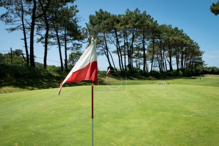 Téléchargez les photos : Drapeaux rouges et blancs au milieu d'un terrain de golf avec une forêt devant par une journée ensoleillée - en image libre de droit