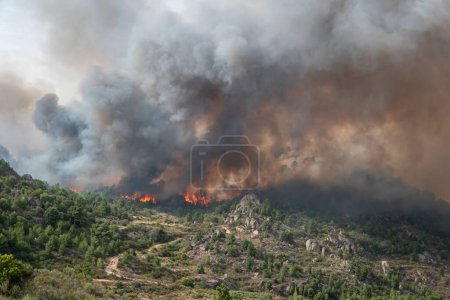 Téléchargez les photos : Feu de forêt avec de grandes flammes brûlant la colline avec un énorme nuage de fumée dans l'air - en image libre de droit