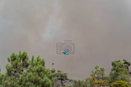 Téléchargez les photos : Hélicoptère survolant une forêt avec beaucoup de fumée dans l'air tout en transportant de l'eau dans le seau d'eau pour éteindre un incendie de forêt - en image libre de droit