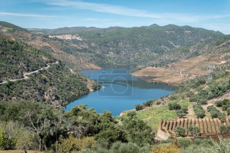 Foto de Entre montañas el río Tua con algunos viñedos y olivos en el fondo en Tras os Montes, Portugal - Imagen libre de derechos