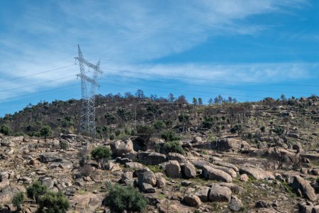 Foto de Polo eléctrico de alto voltaje en medio de una zona rural cubierta de rocas y algunos árboles en un día soleado - Imagen libre de derechos