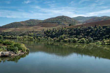 Foto de Entre colinas y montañas y algunos viñedos y muchos árboles, el río Duero en Foz Tua, Tras os Montes Portugal - Imagen libre de derechos