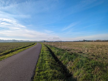 Téléchargez les photos : Chemin pavé serpentant à travers les champs agricoles dans la lueur rayonnante d'une journée ensoleillée - en image libre de droit