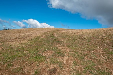 Foto de Desafiante camino de tierra que conduce a la cima de la montaña: Un viaje de empinada elevación - Imagen libre de derechos