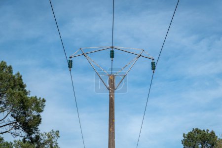 Inmitten einiger Kiefern ein Strommast mit Hochspannungsleitungen mit blauem Himmel als Hintergrund
