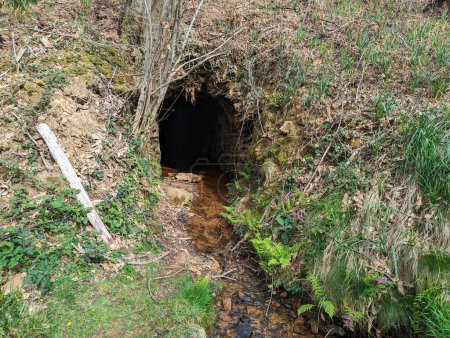 Entre la vegetación, se puede ver un agujero de mina con agua corriente