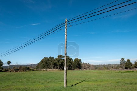 In the heart of a green field, a wooden pole entwined with landline telephone cables