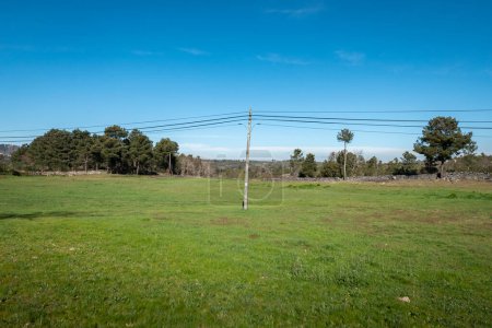 In the center of a serene landscape: Wooden pole and landline telephone cables