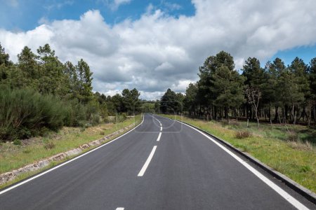 Route asphaltée avec des panneaux correspondants entourés de pins et un beau ciel nuageux