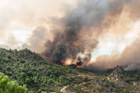 Foto de Devastación: El rugido de las llamas que consumen la montaña bajo una monumental nube de humo - Imagen libre de derechos