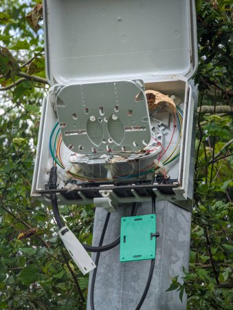 Photo for Fiber optic distribution box on a metal pole with some wires inside with different colors - Royalty Free Image