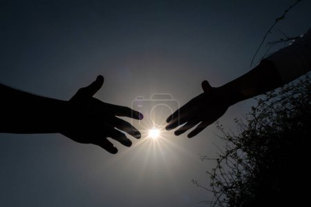 Téléchargez les photos : Silhouette de deux mains dans lesquelles la main féminine au milieu des ronces et des adversités de la vie demande à la main masculine de l'aide avec le soleil comme arrière-plan signifiant espoir - en image libre de droit