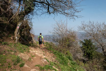 Junger Tourist wandert auf felsigem Bergpfad inmitten einiger Bäume