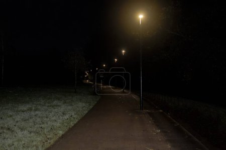 línea de farolas en un parque público que ilumina el camino antes del amanecer en un pequeño pueblo