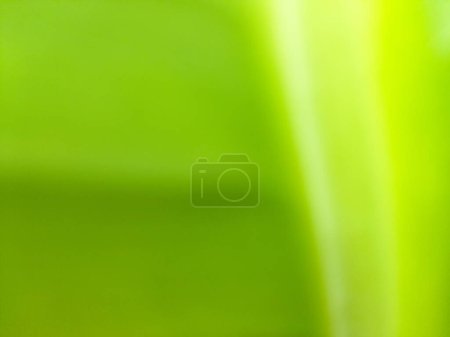 Close up. Defocused or blurred or illustration photo of dark green banana leaf. Effect. Nature. Summer. Spring. For wallpapers or backgrounds material or cover design