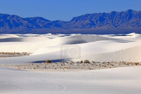 Photo for White Sands National Park in New Mexico, USA - Royalty Free Image