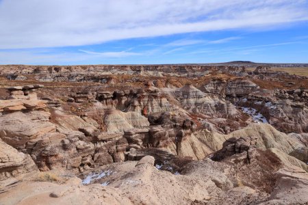 Petrified Forest National Park, a natural attraction place with many petrified tree trunks and fossils, in Arizona, USA.
