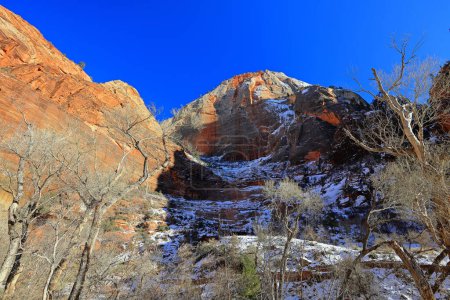 Photo for Scenic view of mountains in Zion national park, Springdale, Utah, USA - Royalty Free Image