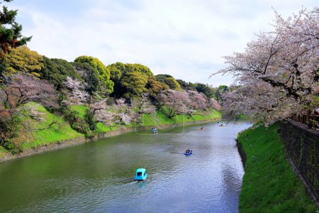 Foto de Parque Chidorigafuchi con flor de cerezo de primavera (sakura) en Chiyoda City, Tokio, Japón - Imagen libre de derechos