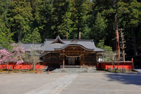 Foto de Nikko Futarasan jinja (santuario sintoísta que data del siglo VIII) en Nikko, Japón. - Imagen libre de derechos