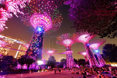 Téléchargez les photos : Superarbres, les arbres sont éclairés par différentes lumières dans Gardens by the Bay à Singapour - en image libre de droit