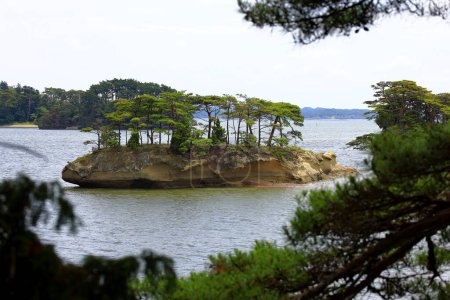 Téléchargez les photos : Baie de Matsushima, belles îles couvertes de pins dans la préfecture de Miyagi, Japon - en image libre de droit