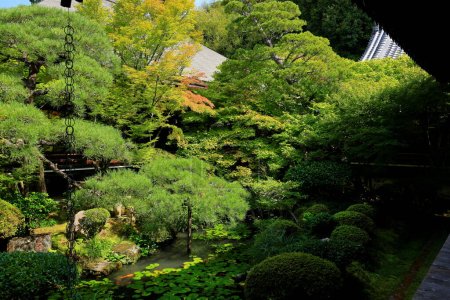 Téléchargez les photos : Jardin au temple Eikan-do, un temple bouddhiste majeur avec art ancien et jardin zen à Kyoto, Japon - en image libre de droit