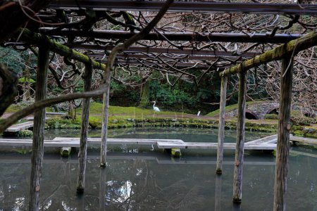 Photo for Oyama Garden situated at Oyamamachi, Kanazawa, Ishikawa, Japan - Royalty Free Image