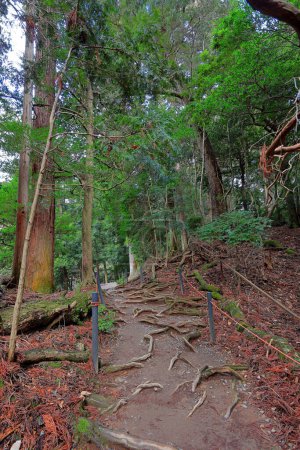 Mountain path between Kurama-dera Temple and Kifune Shrine at Kuramakibunecho, Sakyo Ward, Kyoto, Japan 