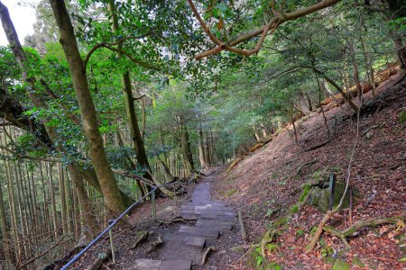 Chemin de montagne entre le temple Kurama-dera et le sanctuaire Kifune à Kuramakibunecho, quartier Sakyo, Kyoto, Japon 