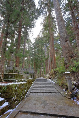 Cimetière Okunoin de Kongobu-ji Okuno-in à Koyasan, Koya, district d'Ito, Wakayama, Japon