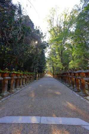  Kasuga Taisha, un santuario sintoísta con hermosa linterna en Kasuganocho, Nara, Japón