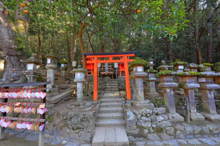 Foto de Kasuga Taisha, un santuario sintoísta con hermosa linterna en Kasuganocho, Nara, Japón - Imagen libre de derechos