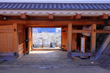 Téléchargez les photos : Parc du château de Maizuru avec des fleurs de cerisier à Marunouchi, Kofu, Yamanashi, Japon - en image libre de droit
