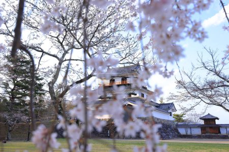 Fleurs de cerisier au château de Shiroishi, un château restauré du XVIe siècle à Masuokacho, Shiroishi, Miyagi, Japon