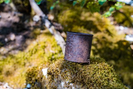 Photo for A rusty tin can lies on green moss in nature. catastrophic pollution of the environment. Garbage in nature - Royalty Free Image