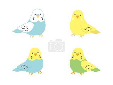Ilustración de 4 types of cute budgerigar illustrations - Imagen libre de derechos