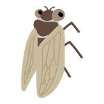 Cute cicada. Simple and flat design. Cute creatures that children love. Handwritten rough taste