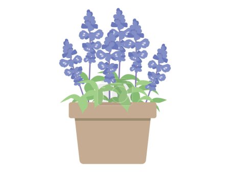 Téléchargez les illustrations : Blue salvia pot. Cute flat design.  Pretty blue flower. - en licence libre de droit