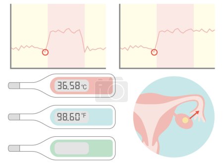 Téléchargez les illustrations : Basal thermometer and basal body temperature graph. Illustration about pregnancy and childbirth - en licence libre de droit