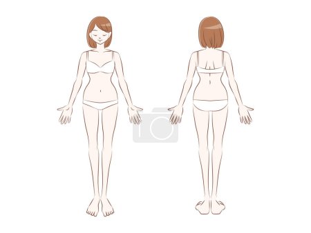 Téléchargez les illustrations : Illustration of the whole body of a woman in underwear. Front and back. Illustration for explaining beauty hair removal and medical care. - en licence libre de droit
