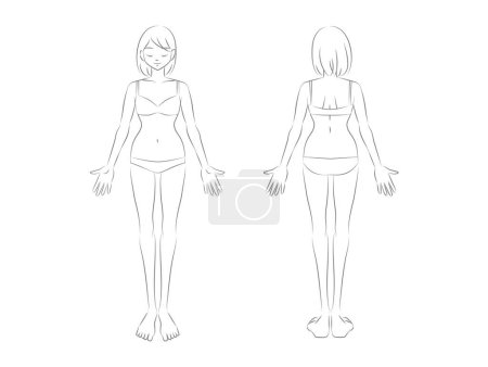 Téléchargez les illustrations : Illustration of the whole body of a woman in underwear. Front and back. Black and white line drawing. Illustration for explaining beauty hair removal and medical care. - en licence libre de droit