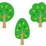 Three simple tree icons. Trees with rounded, cloud-shaped, and triangular leaves. Illustration of an isolated tree that can be used as a map or background.