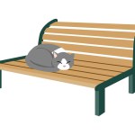 Cat sleeping curled up on a bench. Simple and cute style illustrations.